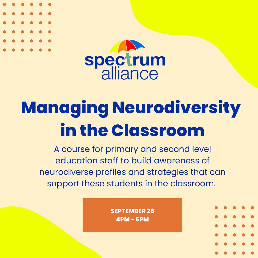 Managing Neurodiversity In The Classroom - Disability Bray