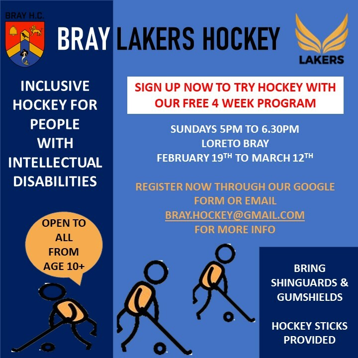 Bray Lakers Hockey classes poster